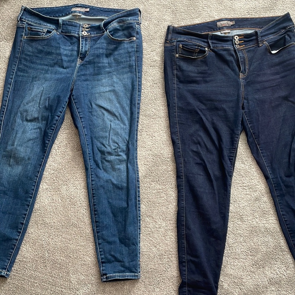 Torrid Jeggings